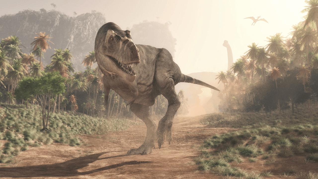 The T-Rex May Have Had a Stonger Bite Because of Its Smaller Eyes